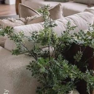 Meet your Posher, Jenalyn